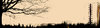 City