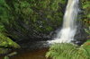 Pool at end of waterfall