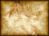 Sepia Grunge With Design