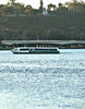 across the Swan