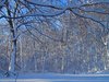 Winters Glory