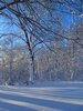 Winters Glory