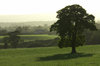English countryside