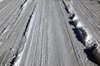 Snowy Road