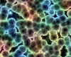 Bacteria 1