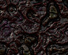 Rotting Flesh