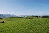 green hills