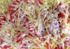 egg, tomato & cheese snack