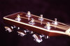 guitar headstock
