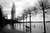 Flood