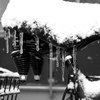 Freezing Rain