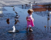 little girl with pigeons