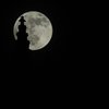 moony in spired