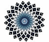 blue star flower