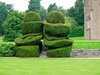 Garden topiary 4