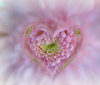 Heart of Glass