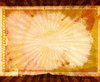 Backdrop 7