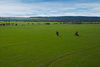 landscapes
