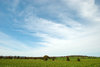 landscapes