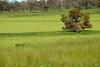 landscapes