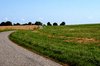 Summer cyclist