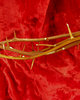 crown of thorns