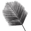 Silhouette Leaf