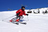 Skier