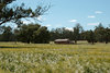 rural