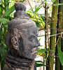 warrior in the bamboo