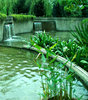 water feature