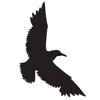 Silhouette Seagull