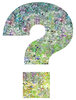 Question 1