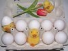 Happy Easter