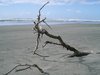 Westport Beach