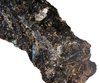Anorthosite - laurvikite   Lar
