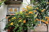 colourful courtyard corner