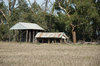 rural