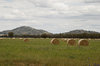 rural