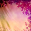 Fairy Dust