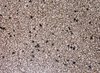 terrazzo texture