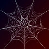 Spider's Web 2