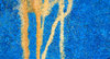 Dripping paint texture