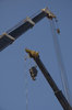 Cranes