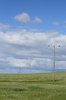 Field