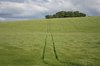 Field