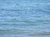 At the Beach 1