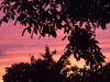Sunsets 1