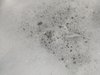 Bubbles