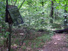 Deep forest